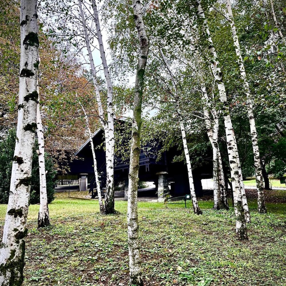 7chalet varie hotel village