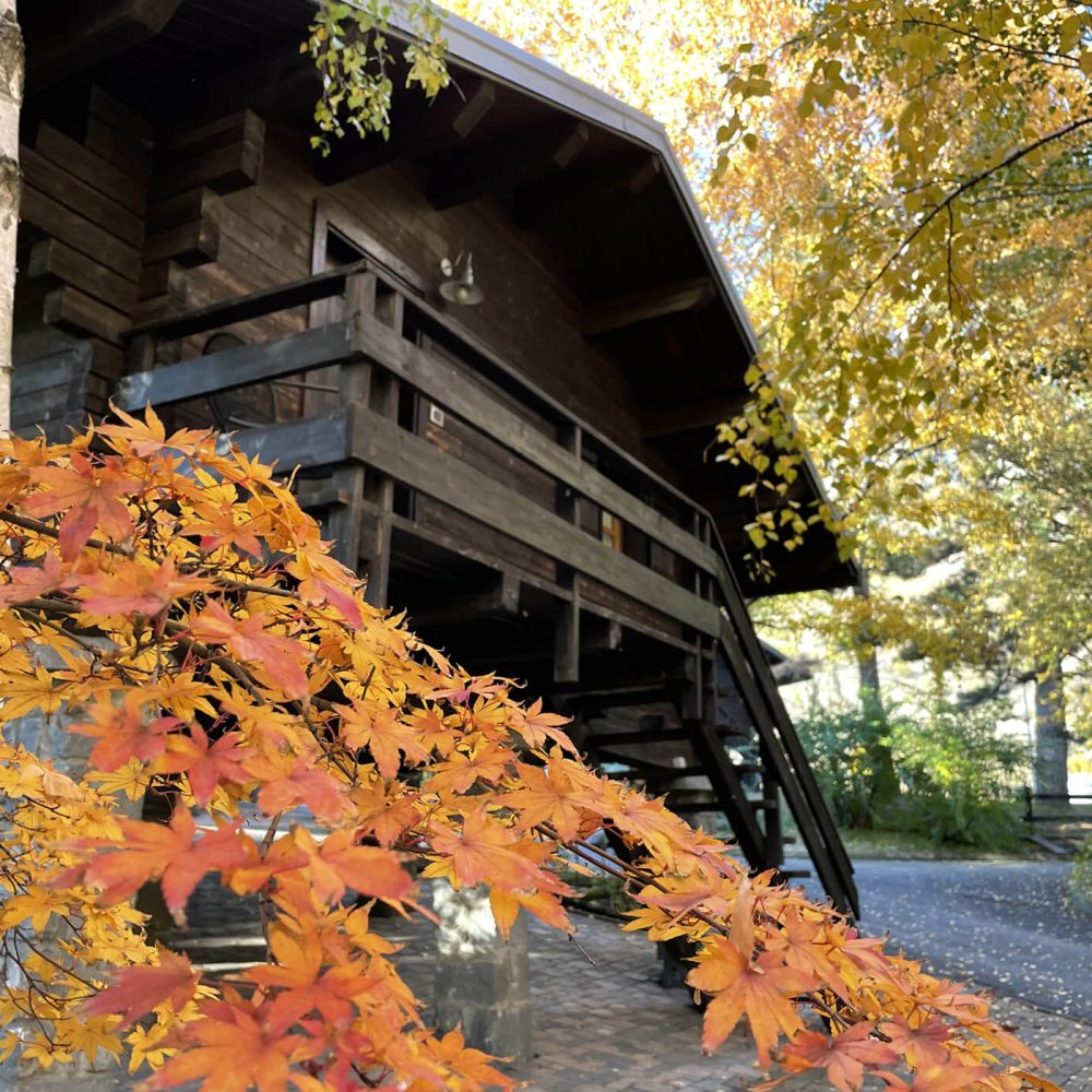 Chalet foglie autunno hotel village